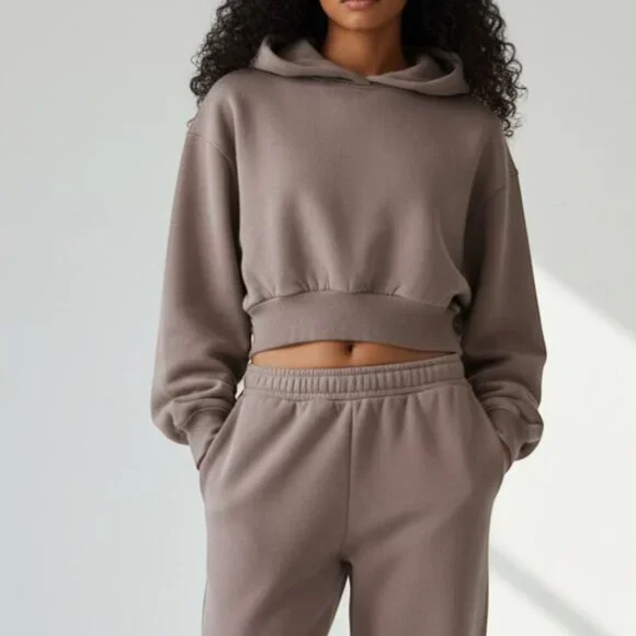 Aritzia Cropped Hoodie | XS | Taupe/Stone | Minimal Athleisure - Picture 1 of 5